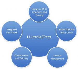WorkPro Process
